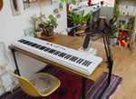 Korg L1LIVE 88-Key Digital Piano with Mic by Korg
