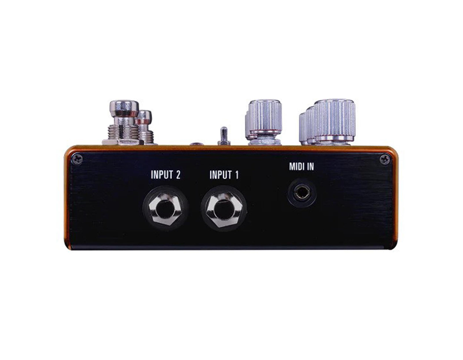 Source Audio SA281 Pathways Reverb & Tremolo Guitar Effects Pedal with MIDI and Presets by Source Audio