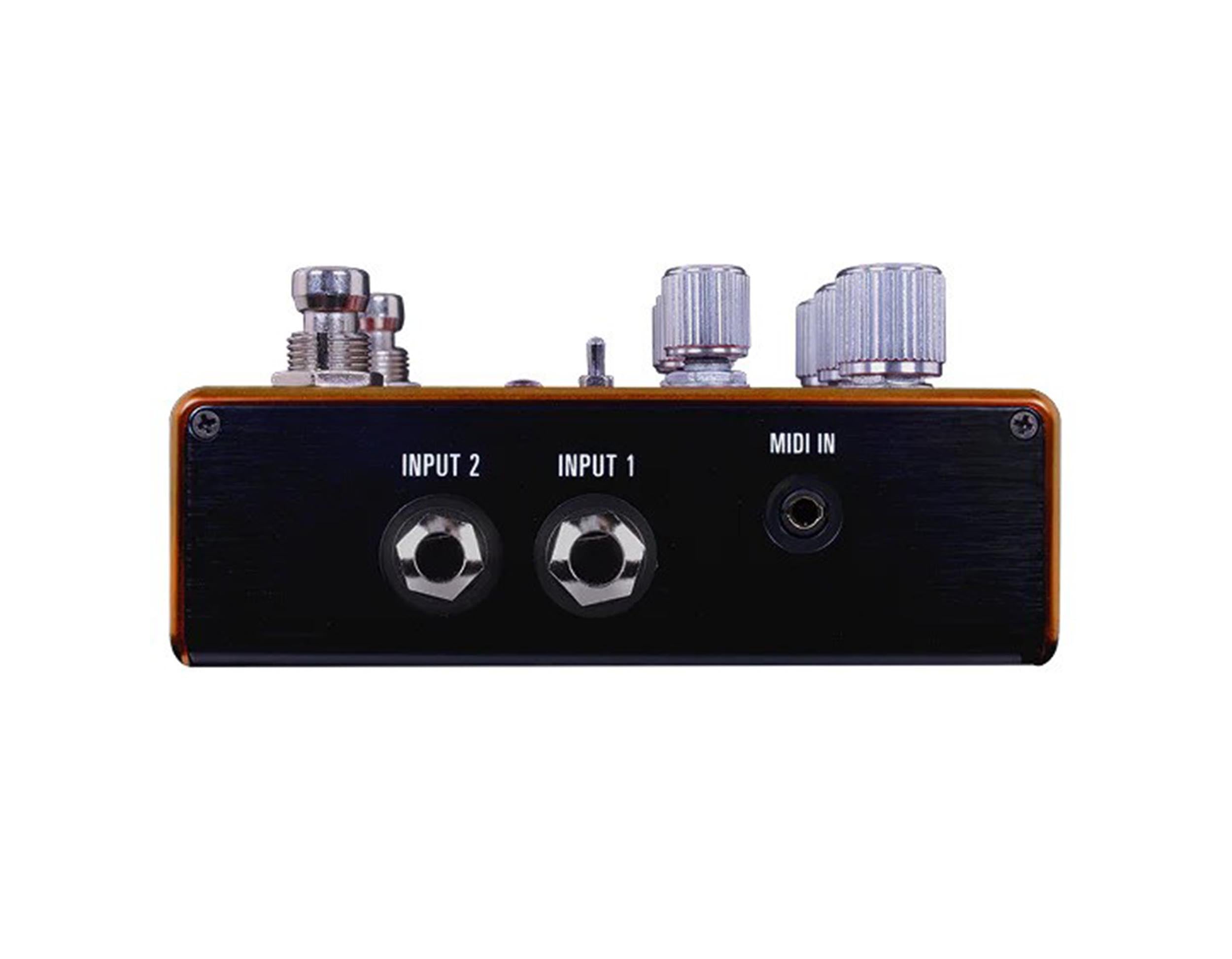 Source Audio SA281 Pathways Reverb & Tremolo Guitar Effects Pedal with MIDI and Presets by Source Audio