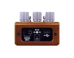 Source Audio SA281 Pathways Reverb & Tremolo Guitar Effects Pedal with MIDI and Presets by Source Audio