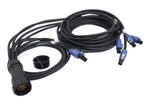 ProX XC-P19PM6XPWB-CYDUO 19-Pin to 6x PowerCON Blue Breakout Cable Set - 12AWG SJOOW, 2x 6ft, 2x 10ft, 2x 16ft by ProX Cables