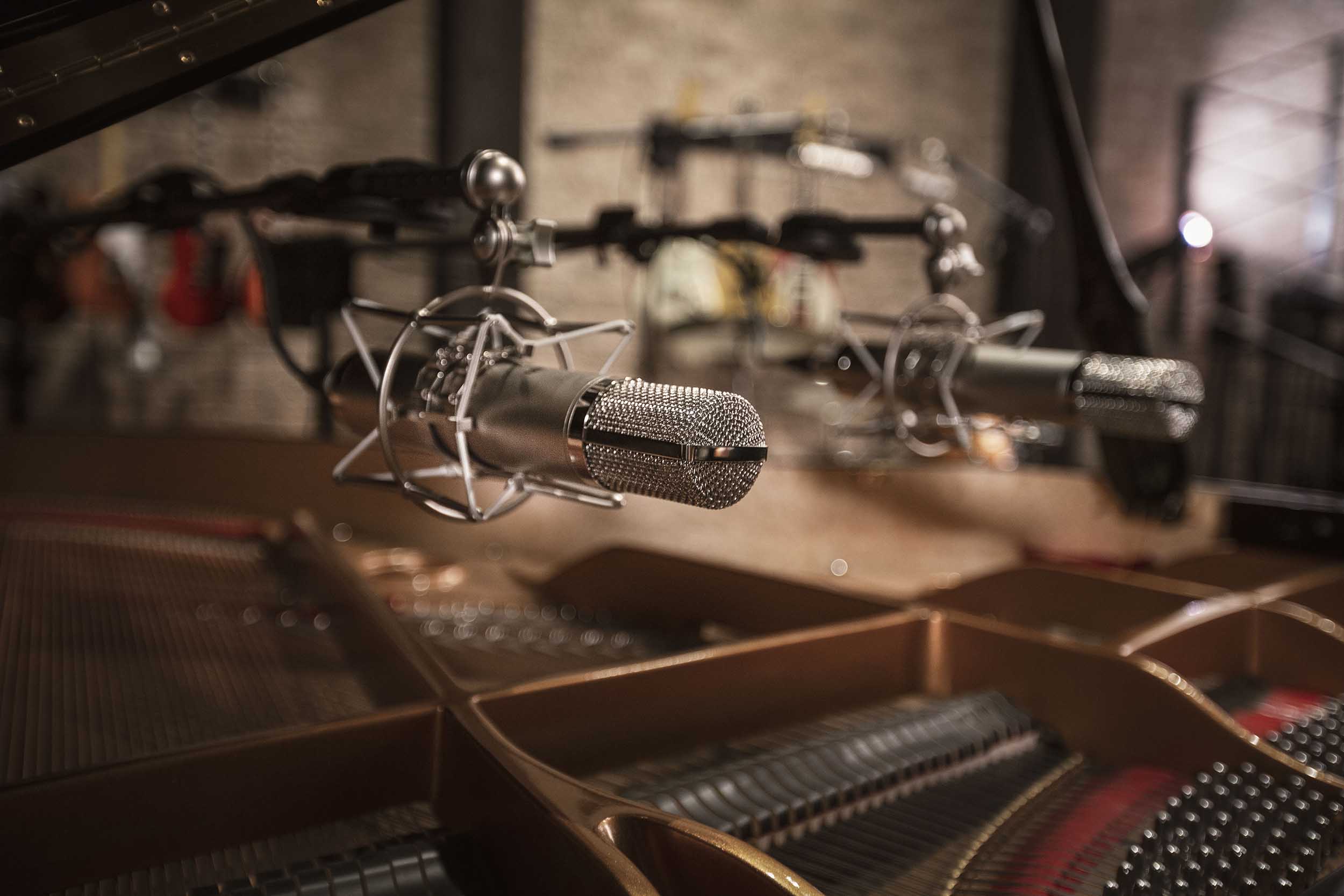Warm Audio WA-CX12 Tube Condenser Microphone with 9 Patterns and Vintage Sound by Warm Audio