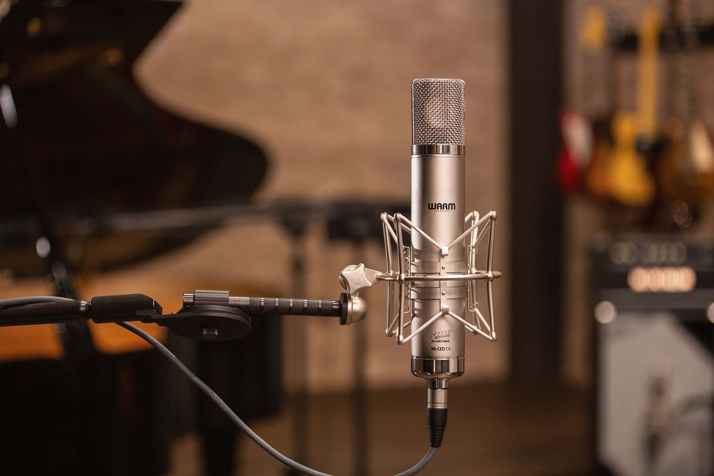 Warm Audio WA-CX12 Tube Condenser Microphone with 9 Patterns and Vintage Sound by Warm Audio