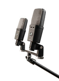 Warm Audio WA-14SP Stereo Pair Large-Diaphragm Condenser Microphone by Warm Audio