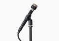 Warm Audio 19B Dynamic Studio Microphone - Black by Warm Audio