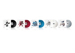B-Stock: Pioneer DJ RB-VD2-W Set of 2 Rekordbox Control Vinyl - White by Pioneer DJ