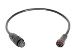 ADJ CHS373 20-inch Output Data Adapter Cable by ADJ