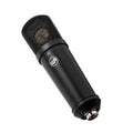 Warm Audio WA-87jr SE-B, Large-Diaphragm Cardioid Condenser Microphone - Black by Warm Audio