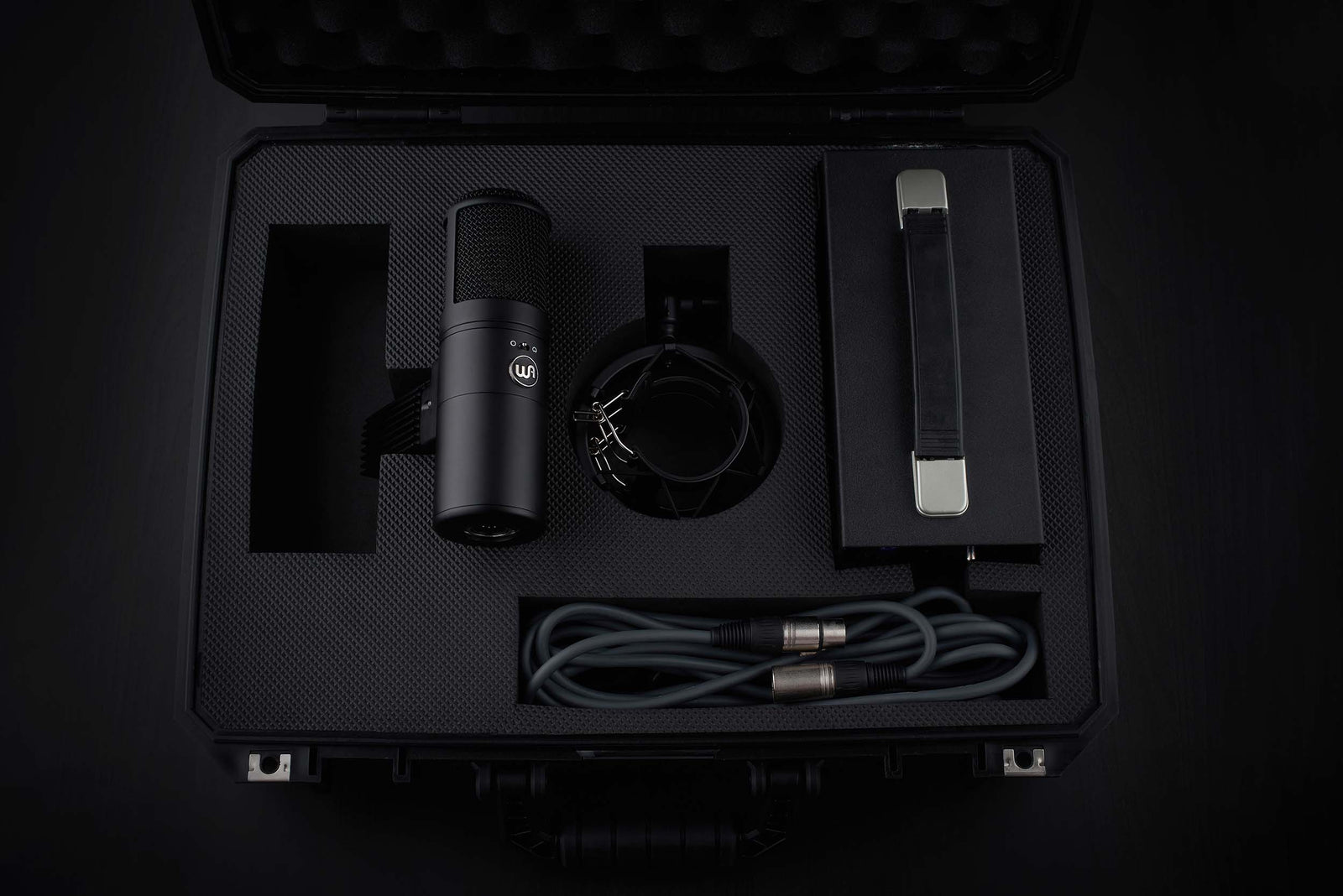 Warm Audio WA-8000 Large Diaphragm Tube Condenser Microphone by Warm Audio