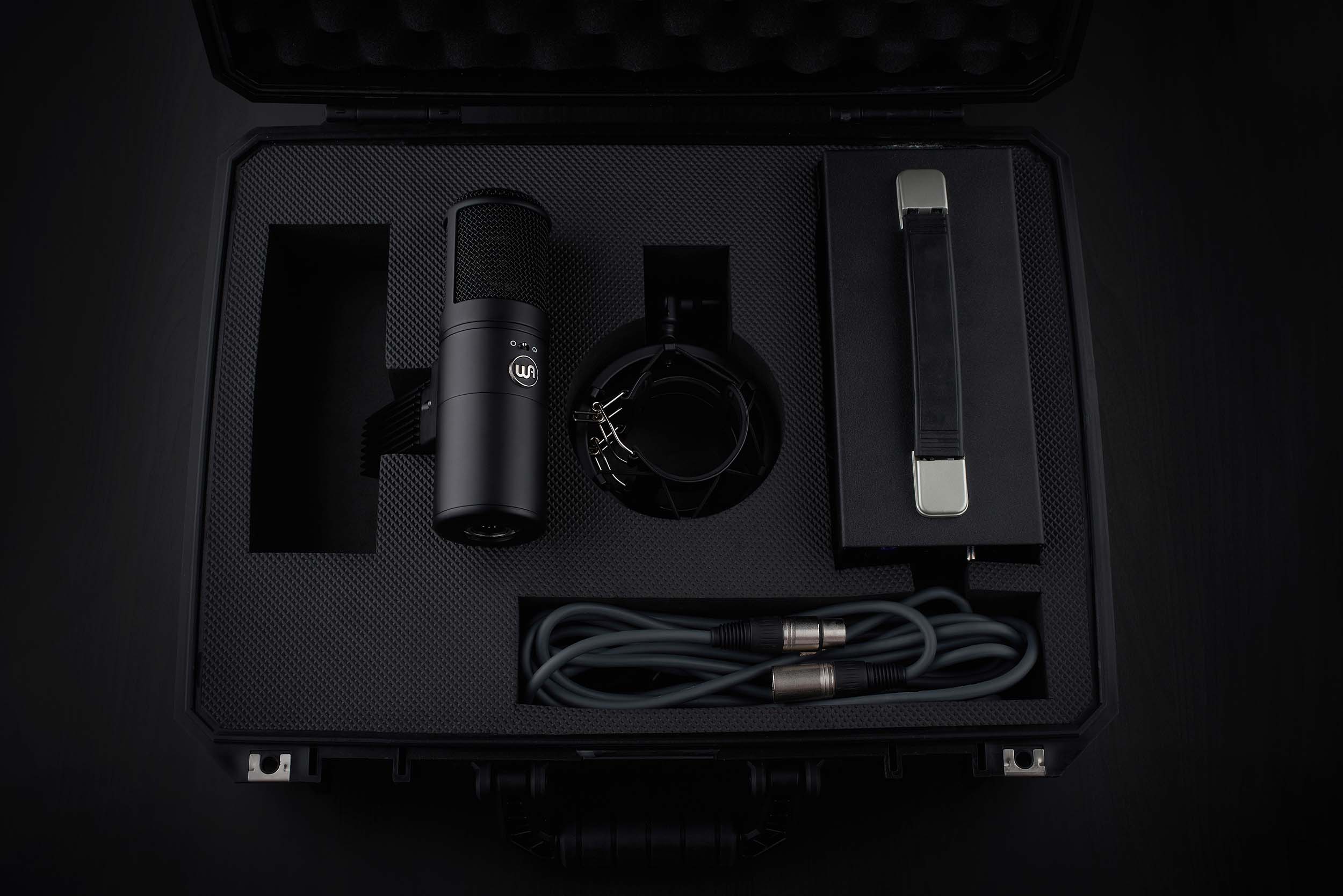Warm Audio WA-8000 Large Diaphragm Tube Condenser Microphone by Warm Audio