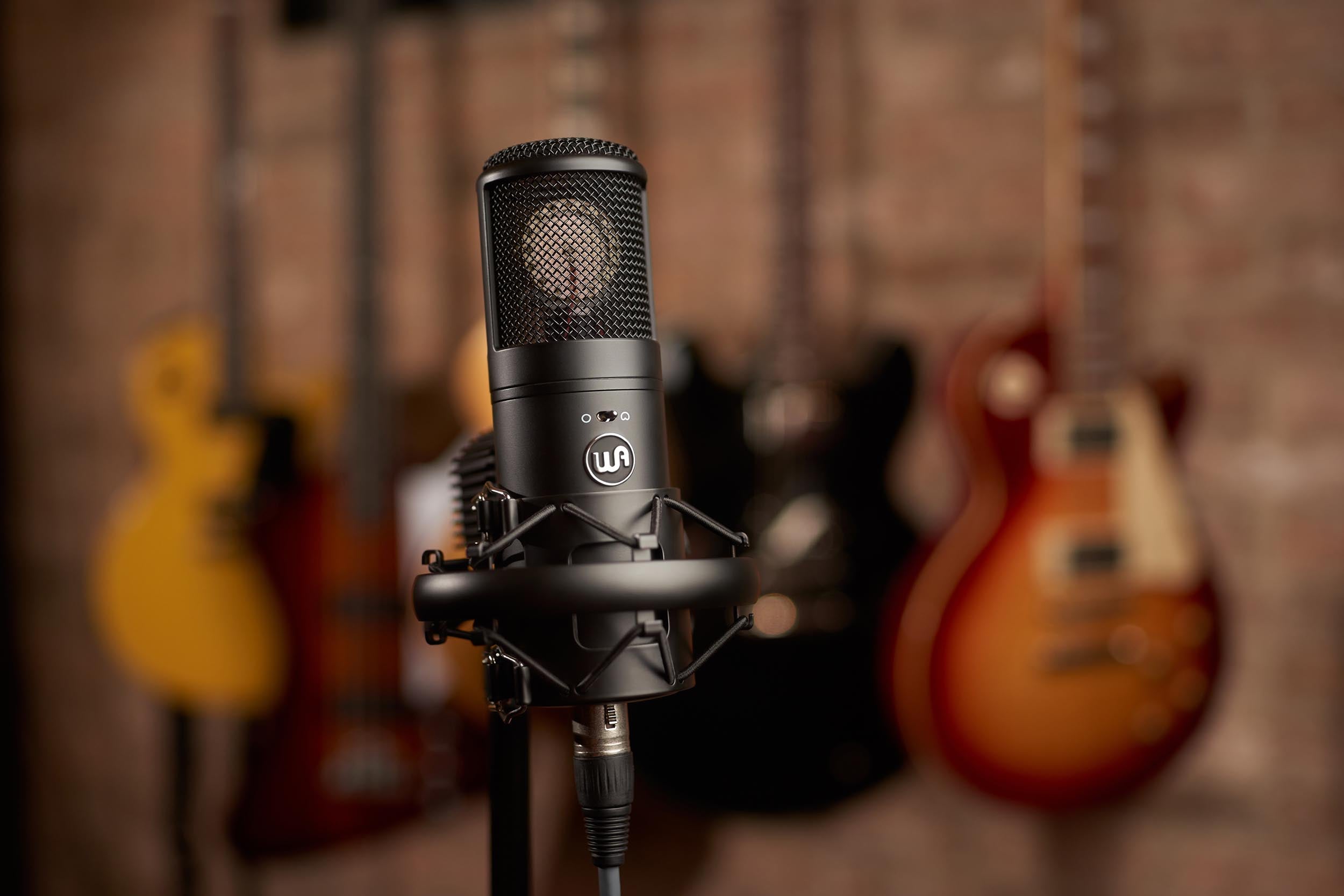 Warm Audio WA-8000 Large Diaphragm Tube Condenser Microphone by Warm Audio