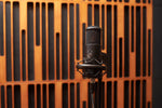 Warm Audio WA-8000 Large Diaphragm Tube Condenser Microphone by Warm Audio