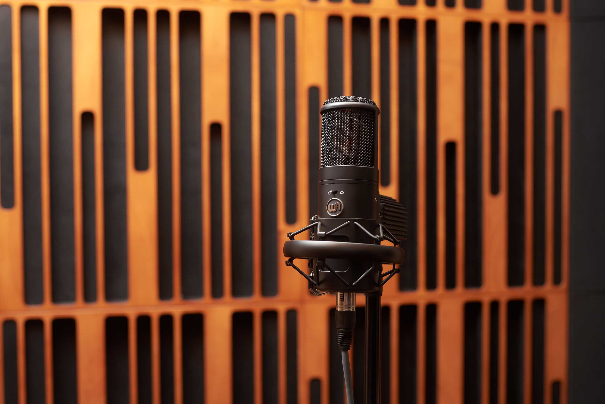 Warm Audio WA-8000 Large Diaphragm Tube Condenser Microphone by Warm Audio
