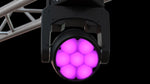 Chauvet DJ SENTINELWASHQ7ZILS 140W Moving-head Wash Fixture with 7 x 20W RGBW LEDs by Chauvet DJ