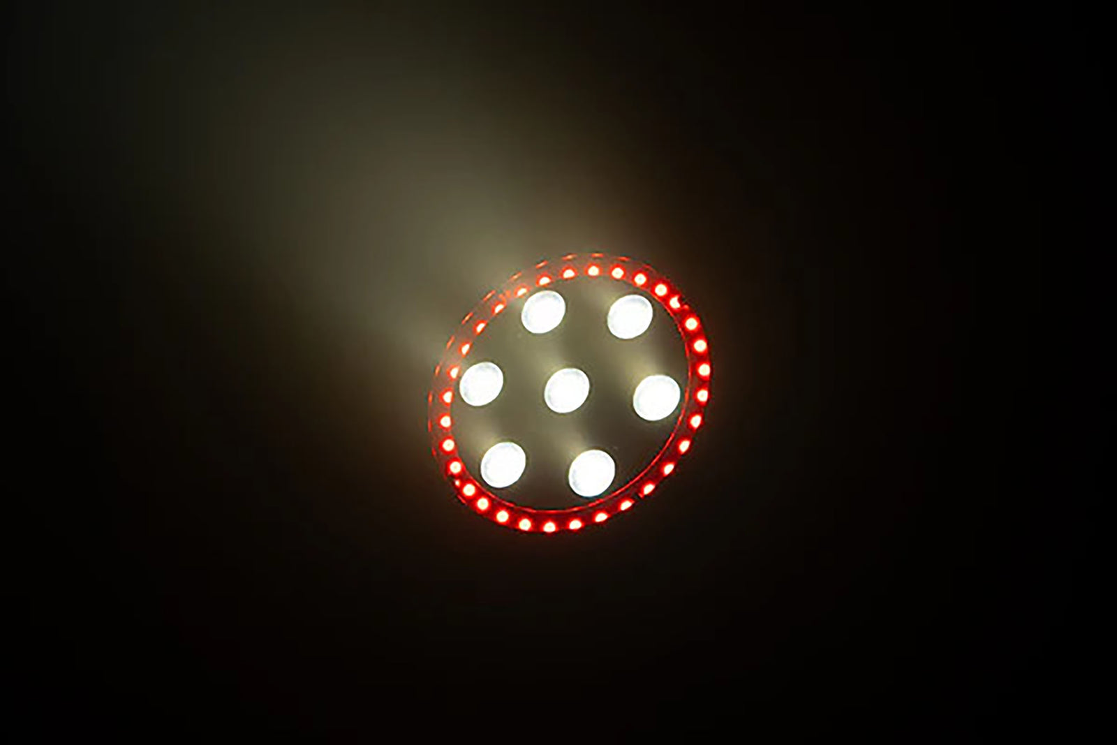 Eliminator Lighting LP8R 60W RGBW Flat Par with 7 x 8-Watt 4-in-1 LEDs