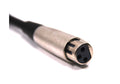 LEA Professional XLRF Female to Amphenol Anytek 3-Pin Connector Cable