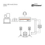 Palmer River PSPREE Active Stereo USB-C Media DI Box with 18 V DC External Power