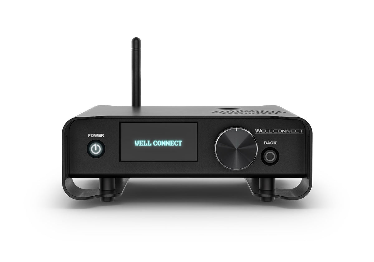 Chauvet Professional WELL CONNECT Wireless W DMX CRMX Transceiver