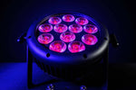 Blizzard Lighting ToughPAR Neo RGBALC LED Par Light