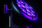 Blizzard Lighting ToughPAR Neo RGBL LED Par Light