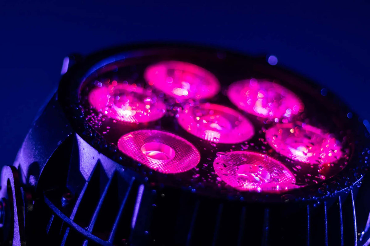 Blizzard Lighting TOURnado RGBALC IP65 6-in-1 LED Outdoor Par Light