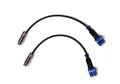 LEA Professional RCAF-2, Dual RCA to 3-Pin Audio Adapter Cable for Connect Series Amplifiers