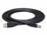 Hosa USB-210AB High Speed USB Cable Type A to Type B – 10 Feet by Hosa