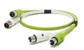 Oyaide Neo D+ XLR Class B, 1.0M XLR Female to XLR Male DJ Cable - Green by Oyaide