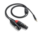 Samson Tourtek Pro 1/8" to Dual XLR Female Breakout Cables by Samson