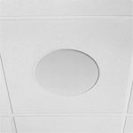 Shure 310P AL-V Ecosystem DJ Package Including 1 MXA310AL Microphone, 1 P300-IMXAudio Processor, MXN5W-C Ceiling Loudspeaker and 1 Tile Bridge by Shure