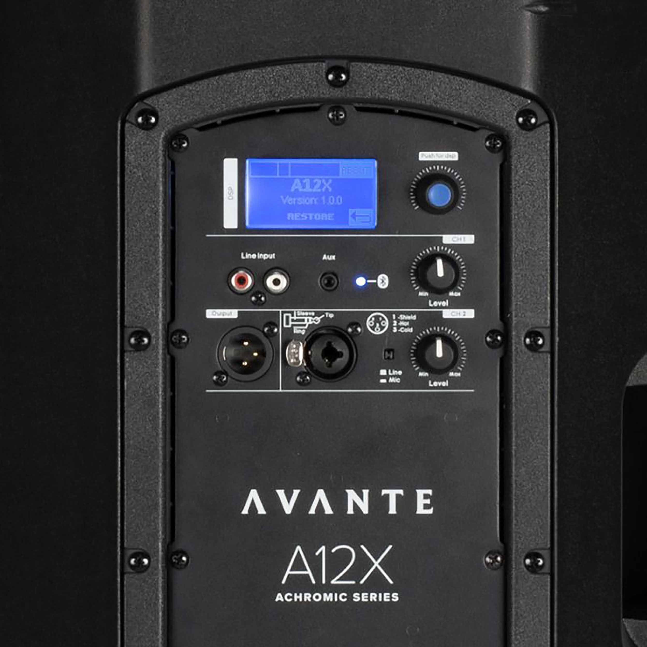 Avante Audio A12X, Achromic X Series 12-Inch 2-Way Active Loudspeaker - Black by Avante