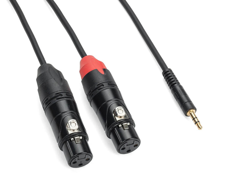 Samson Tourtek Pro 1/8" to Dual XLR Female Breakout Cables by Samson