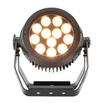 ADJ Encore LP12IP, Heavy Duty Par with Twelve (12) 20W Quad (RGBL) LEDs and 10° Beam Angle by ADJ