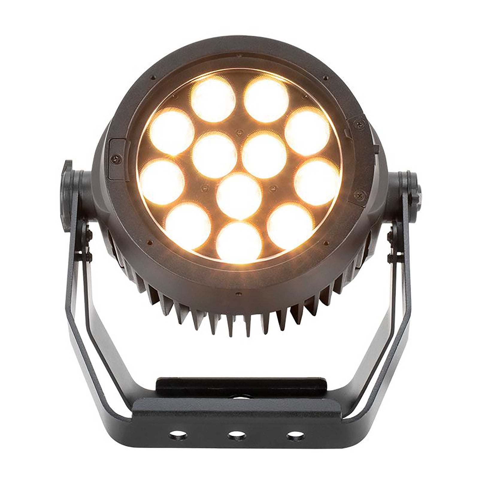 ADJ Encore LP12IP, Heavy Duty Par with Twelve (12) 20W Quad (RGBL) LEDs and 10° Beam Angle by ADJ