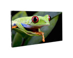 ADJ WMS2, High Resolution Video Panel by ADJ
