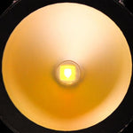 ADJ Dotz Par 100, High Output Cob RGB Led Par Can Light - 100 Watt by ADJ