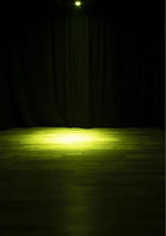 ADJ ELPIX7L20, 20 Degree Diffusion Filter for ElectraPix Bar 16 by ADJ