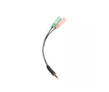 Shure Dual 3.5mm Female to Male Adapter by Shure