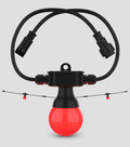 Chauvet DJ Festoon 2 RGB EXT, Extension for Festoon 2 RGB String Lighting System - Hollywood DJ
