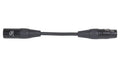 Odyssey OSP1005DMXM3F5 DMX Cable XLR Male to XLR Female 3P Pro - 0.5 Feet - Hollywood DJ