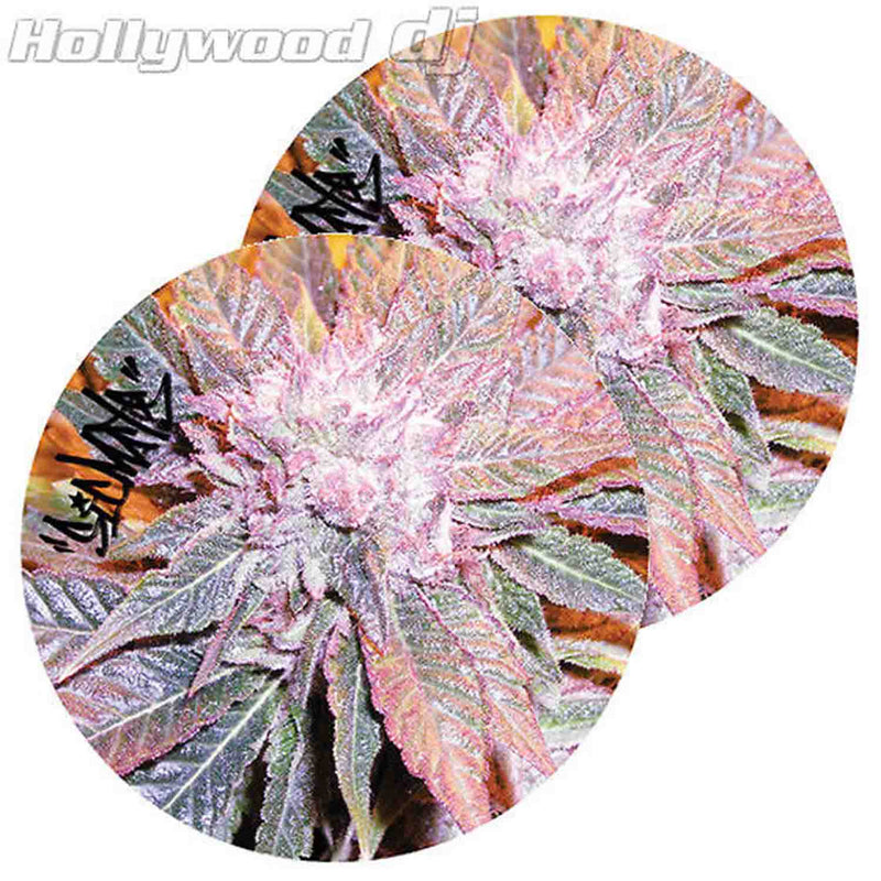 Sicmats DJ Turntable Slipmats 'KUSH' Sic Mats Slip Mat Set Scratch Pad Rare - Pair - Hollywood DJ