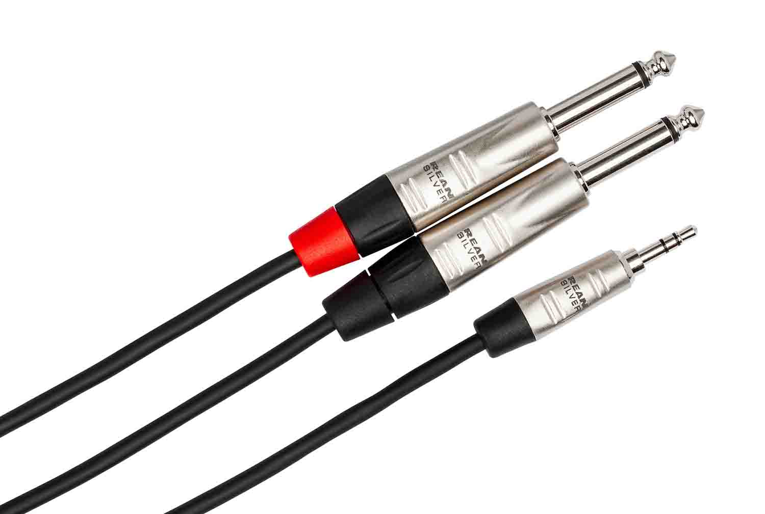 Hosa HMP-003Y, REAN 3.5mm TRS to Dual 1/4" TS Pro Stereo Breakout Cable - 3 Feet - Hollywood DJ