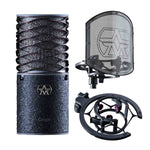 Aston Microphones Origin Black Bundle - Hollywood DJ