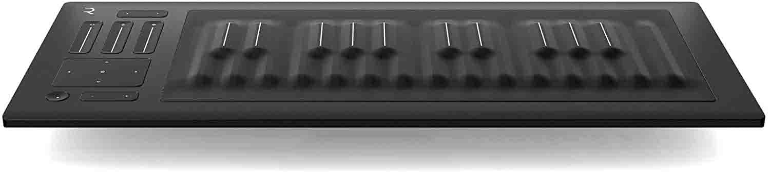 ROLI Seaboard RISE25 25-Note USB Keyboard Controller and Synthesizer - Hollywood DJ