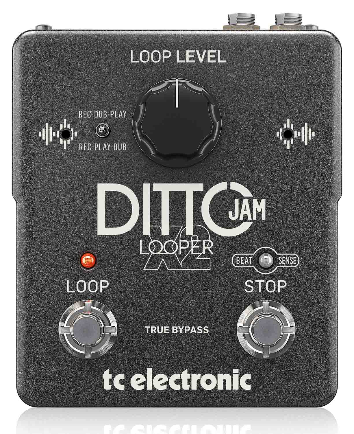 TC Electronic Ditto Jam X2 Lopper Guitar Effects Pedal - Hollywood DJ