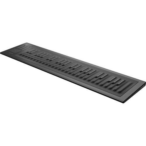 ROLI Seaboard RISE49 49-Note USB Keyboard Controller and Synthesizer - Hollywood DJ