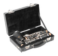 SKB Cases 1SKB-320 Rectangular Clarinet Case - Hollywood DJ