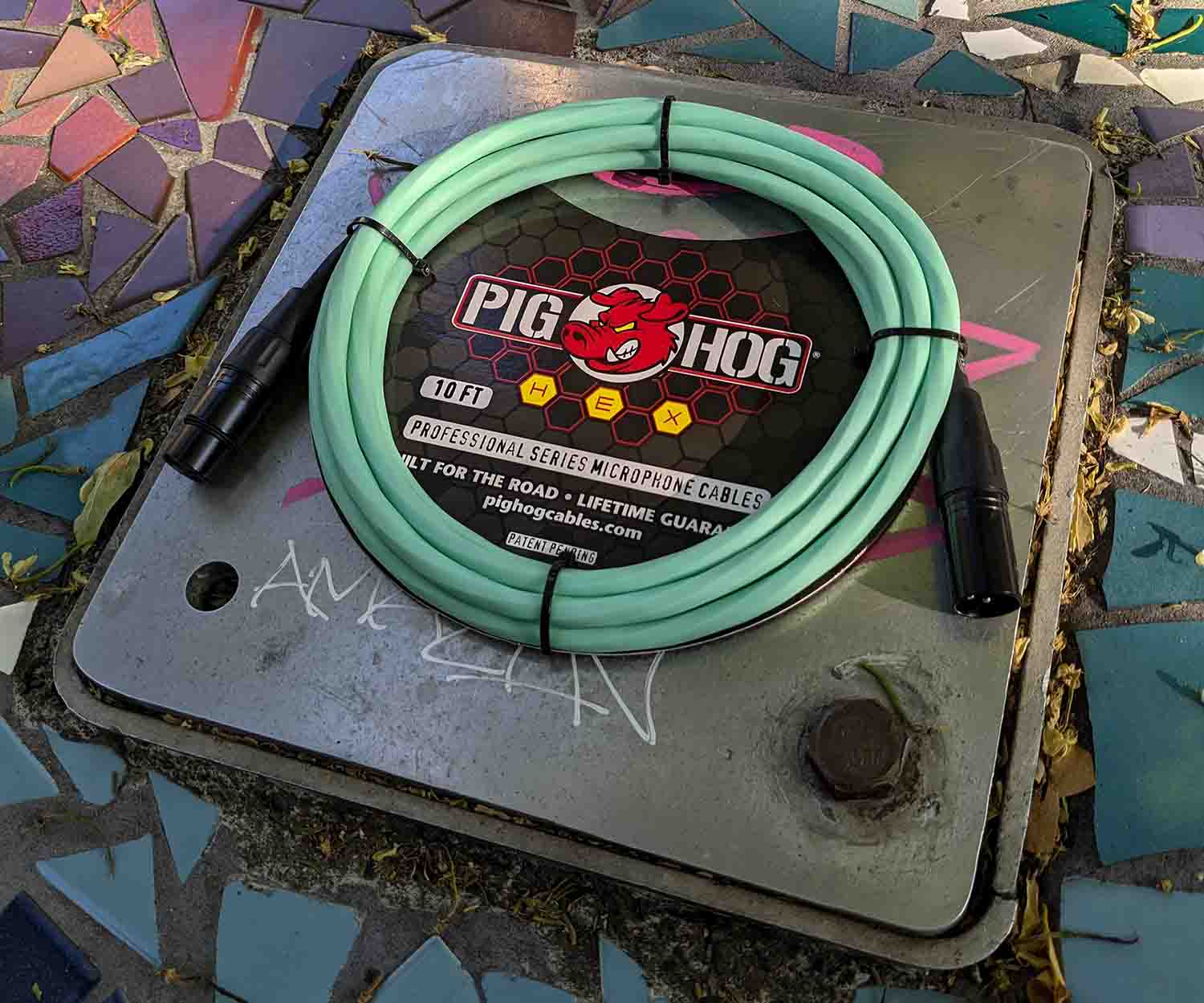 Pig Hog PHMH10SG, Hex Series Mic Cables (Seafoam Green, 10ft) - Hollywood DJ