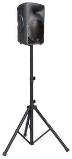 Mackie C200 10" 2-way Compact Passive SR Loudspeaker - Hollywood DJ