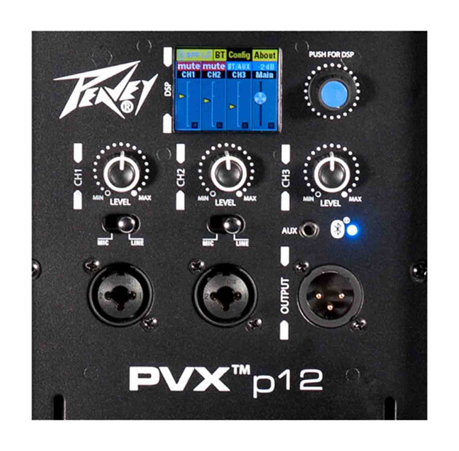 Peavey PVXp 12 Bluetooth 12-inch Powered Loudspeaker - Hollywood DJ